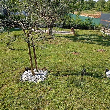 Apartman Jenny-Porec Kosinozici 外观 照片