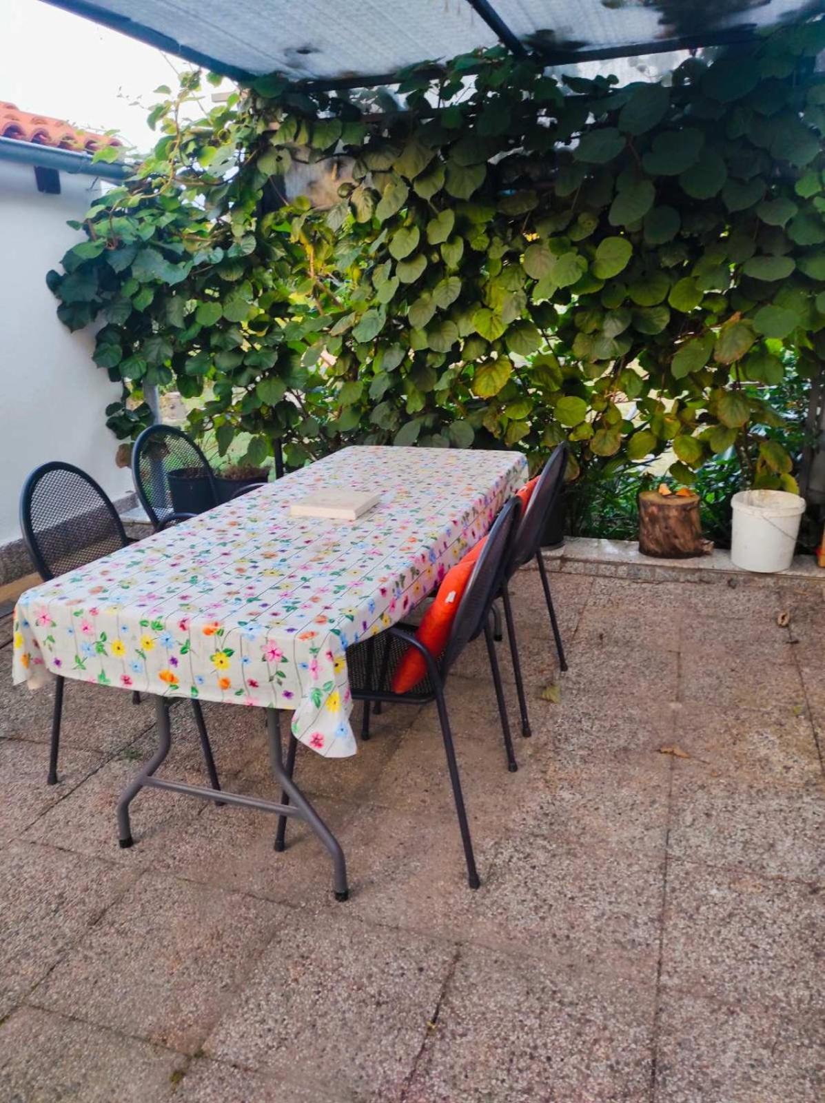 Apartman Jenny-Porec Kosinozici 外观 照片