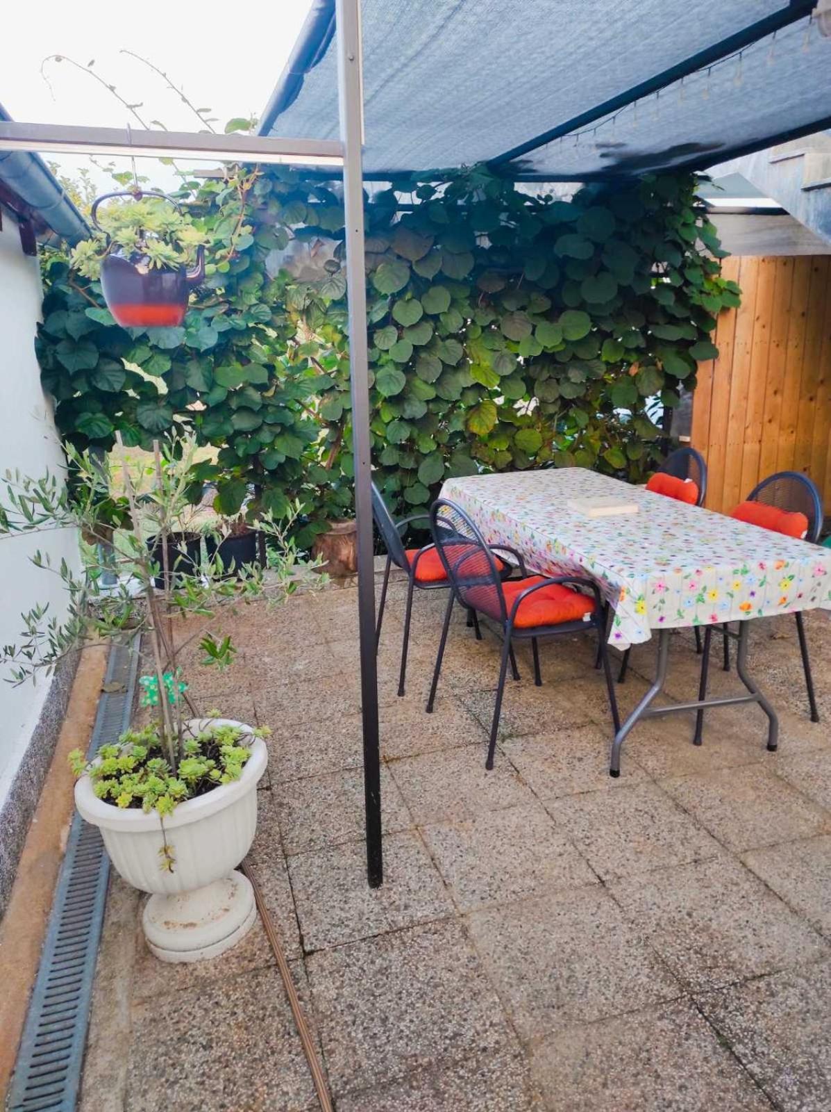 Apartman Jenny-Porec Kosinozici 外观 照片